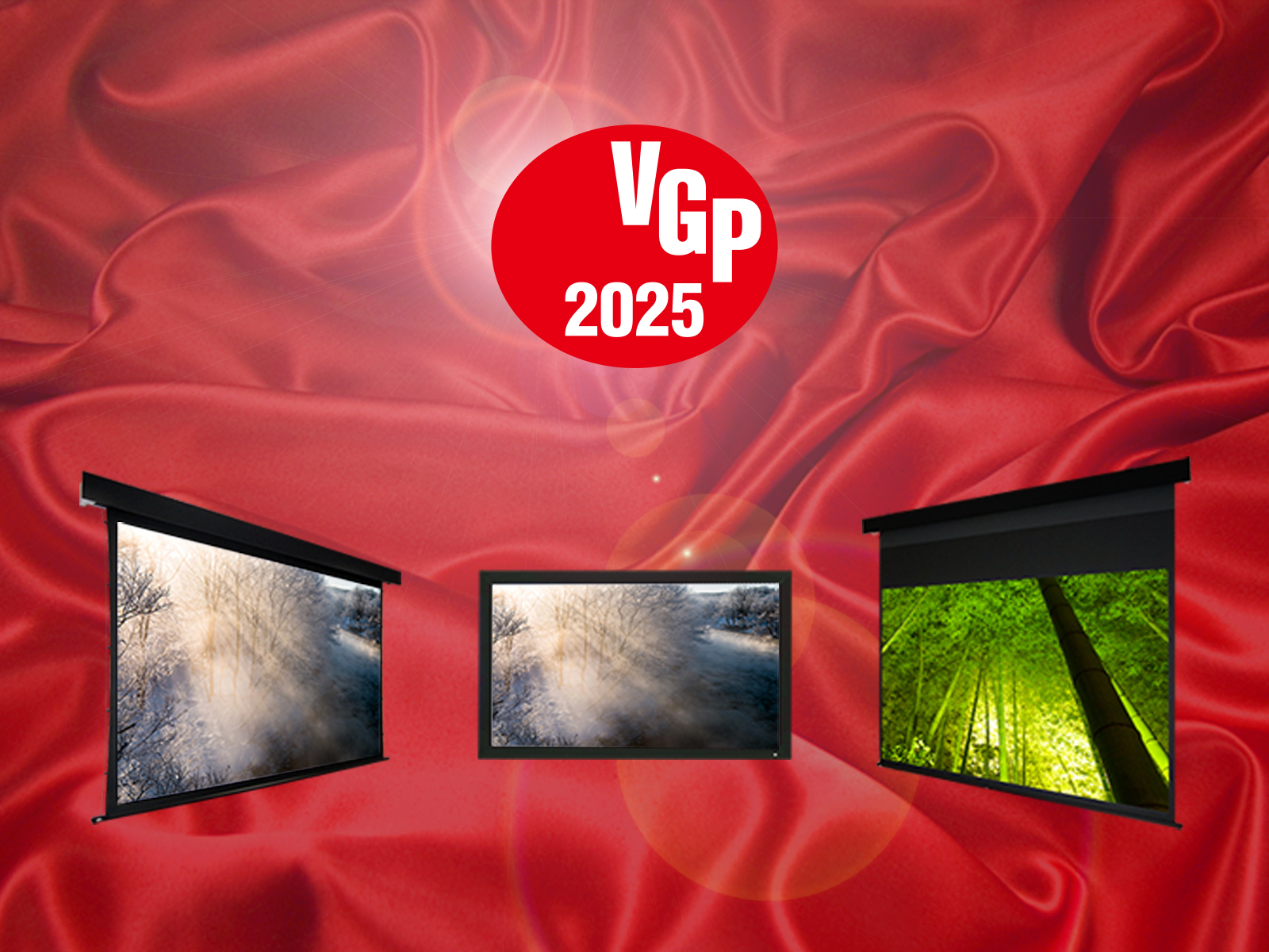 VGP2025を受賞